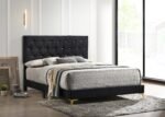 Kendall Upholstered Panel Bed Black & White - Image 2