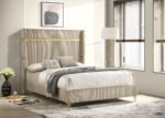 Lucia 61-inch Upholstered Wingback Bed - Image 2