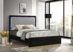 Caraway Wood LED Panel Bed Black & White - Image 3