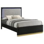 Caraway Wood LED Panel Bed Black & White - Image 4