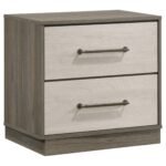Fenwick Wooden Storage Bedroom Set Grey - Image 5