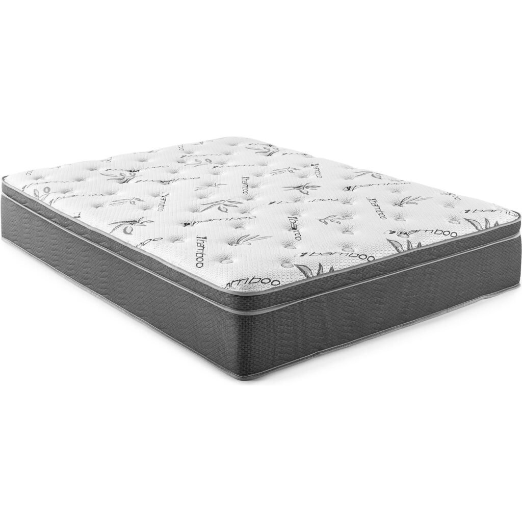 Coaster Furniture Sommet 350363Q 13" Queen Bamboo Euro Top Memory Foam
