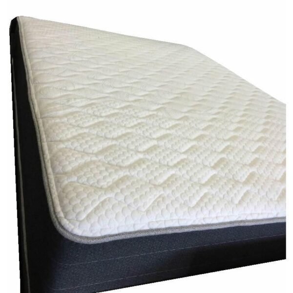Indulgence Firm Mattress (Queen)