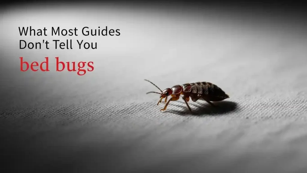 What Most Guides Don't Tell You