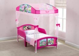 Character Canopy Toddler Bed