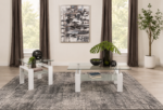 Dyer 2-piece Rectangular Coffee and End Table Set White
